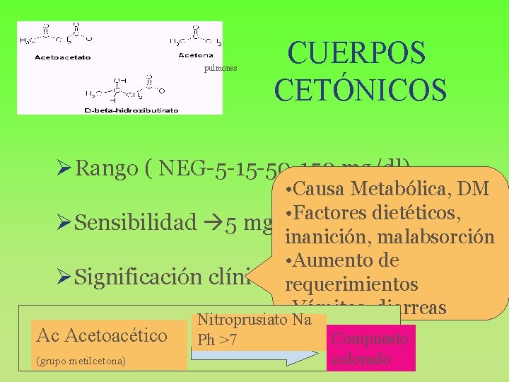 pulmones CUERPOS CETÓNICOS ØRango ( NEG-5 -15 -50 -150 mg/dl) • Causa Metabólica, DM