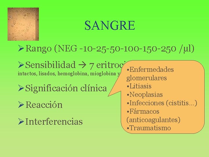 SANGRE ØRango (NEG -10 -25 -50 -100 -150 -250 /µl) ØSensibilidad 7 eritrocitos/µl. (Detecta
