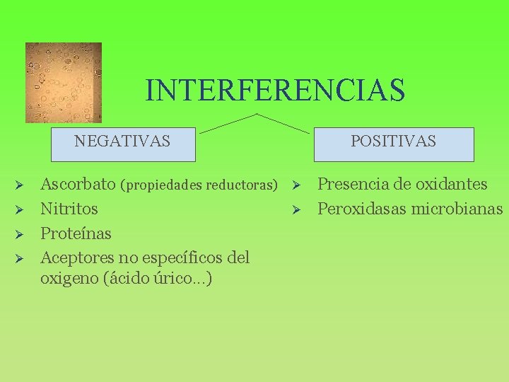 INTERFERENCIAS NEGATIVAS Ø Ø Ascorbato (propiedades reductoras) Nitritos Proteínas Aceptores no específicos del oxigeno