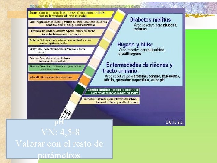 p. H VN: 4, 5 -8 Valorar con el resto de parámetros 