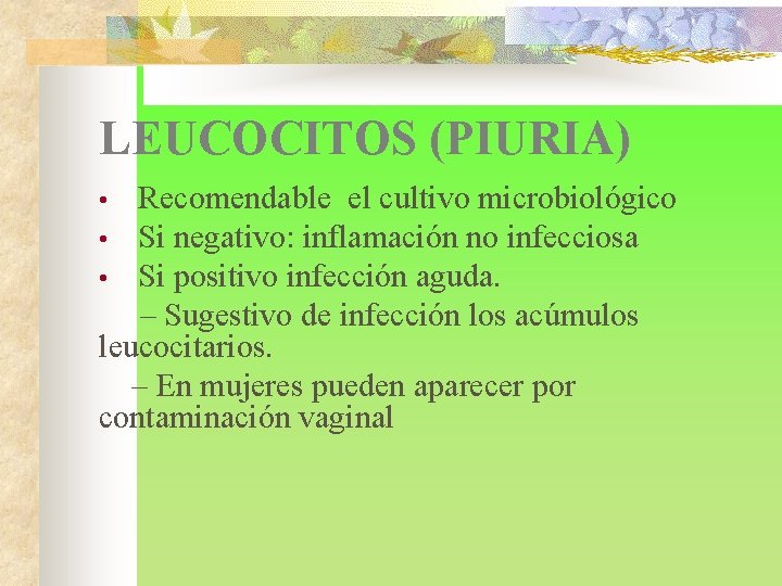 LEUCOCITOS (PIURIA) Recomendable el cultivo microbiológico • Si negativo: inflamación no infecciosa • Si