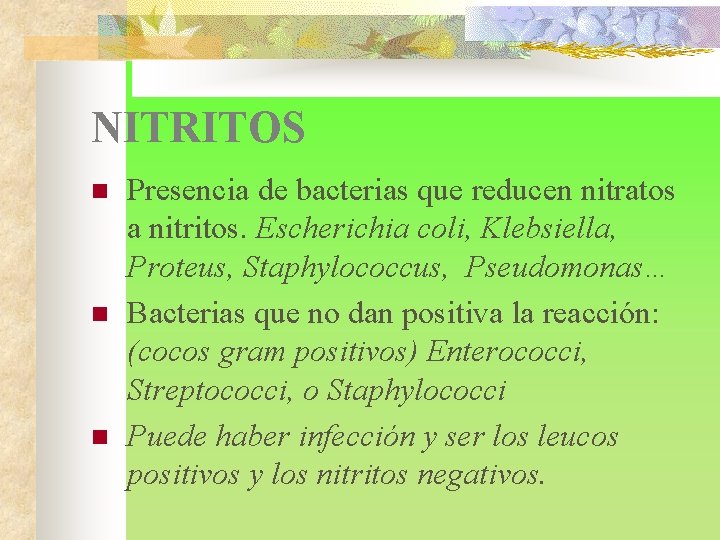 NITRITOS n n n Presencia de bacterias que reducen nitratos a nitritos. Escherichia coli,