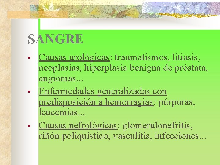 SANGRE • • • Causas urológicas: traumatismos, litiasis, neoplasias, hiperplasia benigna de próstata, angiomas.