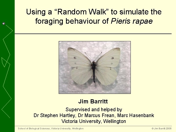 Using a “Random Walk” to simulate the foraging behaviour of Pieris rapae http: //www.
