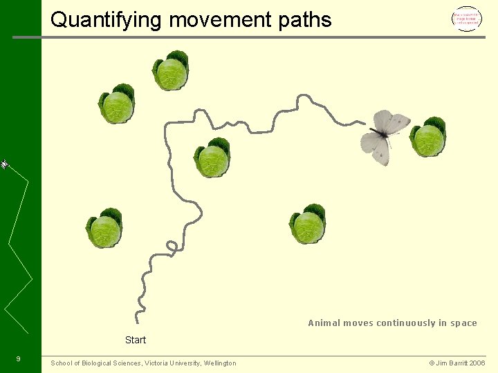Quantifying movement paths Animal moves continuously in space Start 9 School of Biological Sciences,