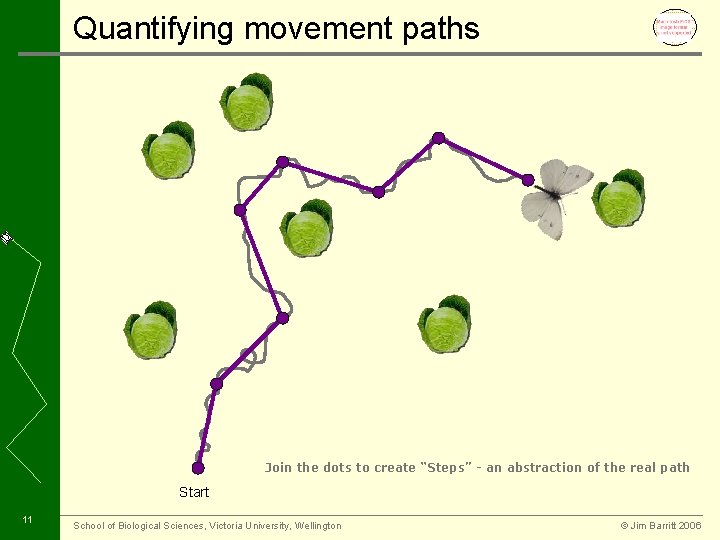 Quantifying movement paths Join the dots to create “Steps” - an abstraction of the
