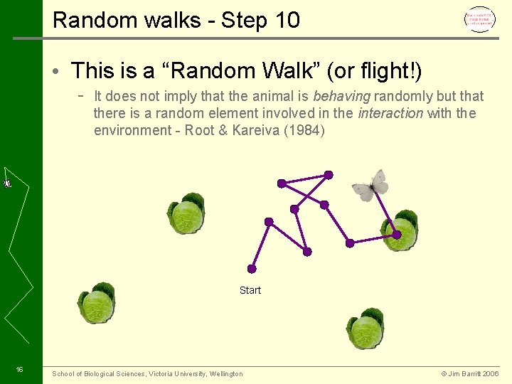 Random walks - Step 10 • This is a “Random Walk” (or flight!) -