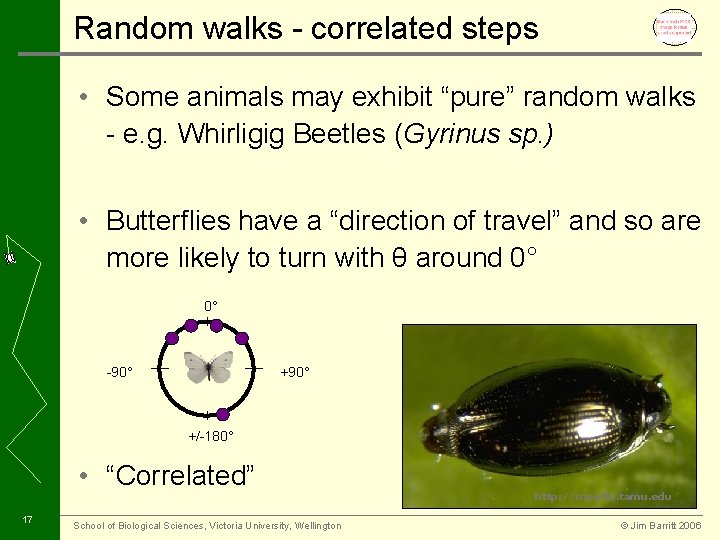 Random walks - correlated steps • Some animals may exhibit “pure” random walks -
