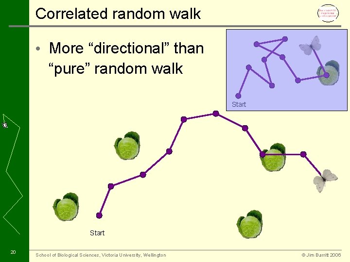 Correlated random walk • More “directional” than “pure” random walk Start 20 School of