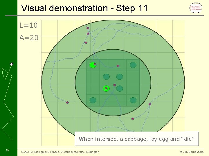 Visual demonstration - Step 11 L=10 A=20 When intersect a cabbage, lay egg and