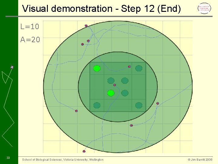 Visual demonstration - Step 12 (End) L=10 A=20 33 School of Biological Sciences, Victoria