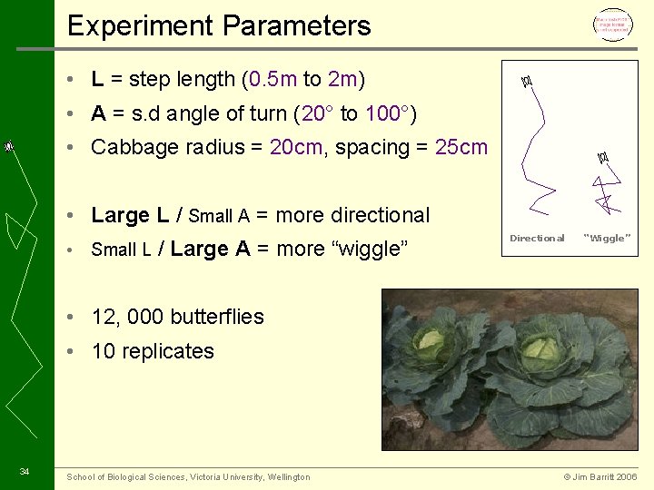 Experiment Parameters • L = step length (0. 5 m to 2 m) •