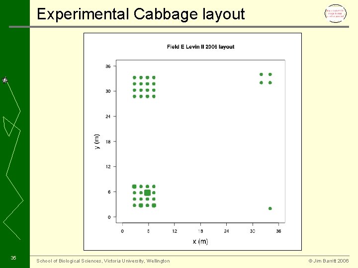 Experimental Cabbage layout 35 School of Biological Sciences, Victoria University, Wellington © Jim Barritt