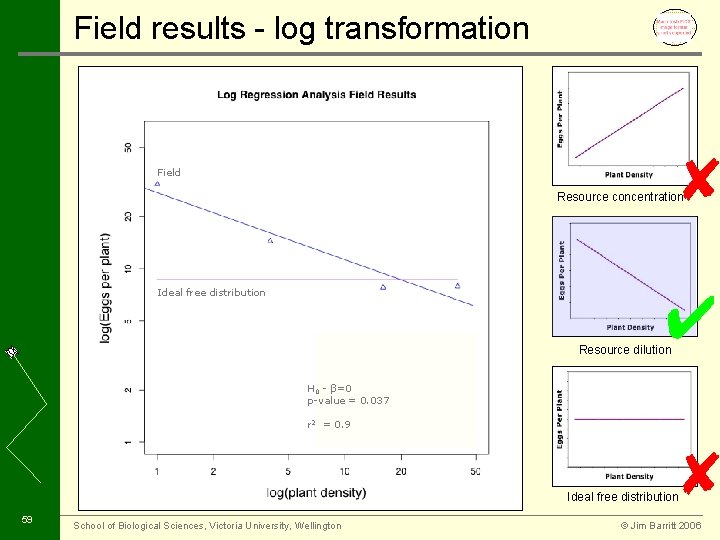 Field results - log transformation ✘ Field Resource concentration Ideal free distribution ✔ Resource