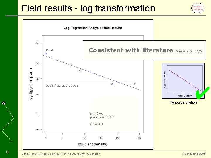 Field results - log transformation Field Consistent with literature Ideal free distribution (Yamamura, 1999)