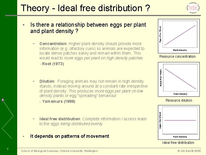 Theory - Ideal free distribution ? • Is there a relationship between eggs per