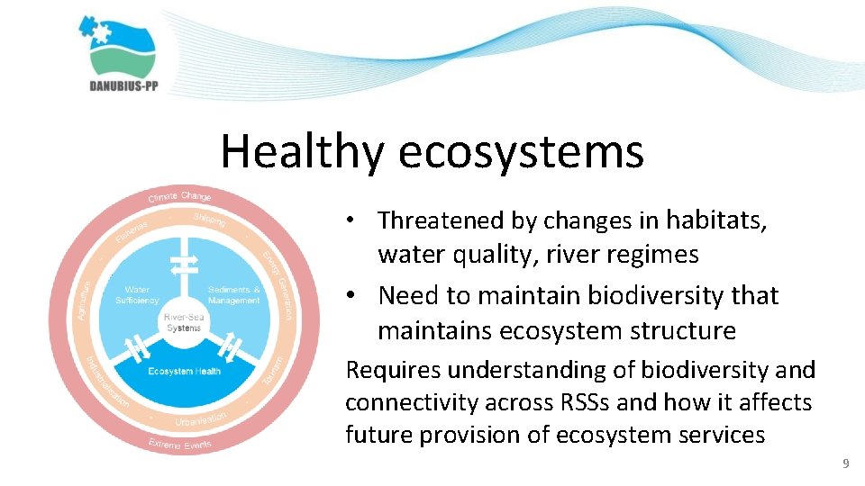 Healthy ecosystems • Threatened by changes in habitats, water quality, river regimes • Need