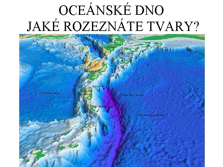 OCEÁNSKÉ DNO JAKÉ ROZEZNÁTE TVARY? 