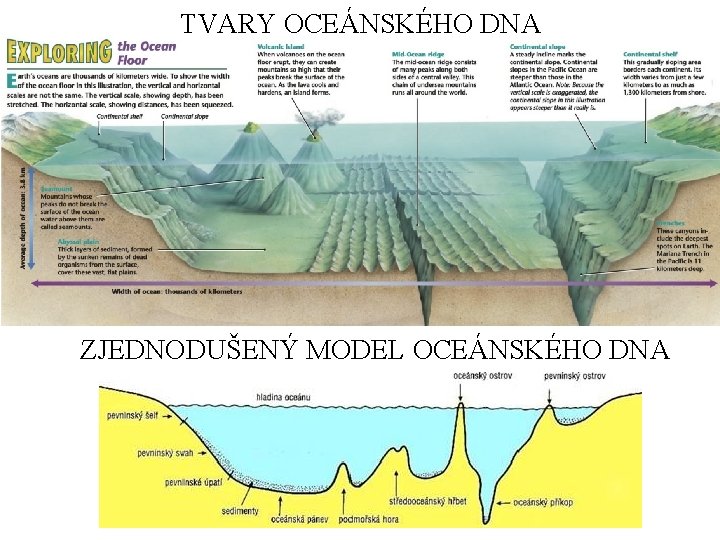 TVARY OCEÁNSKÉHO DNA ZJEDNODUŠENÝ MODEL OCEÁNSKÉHO DNA 