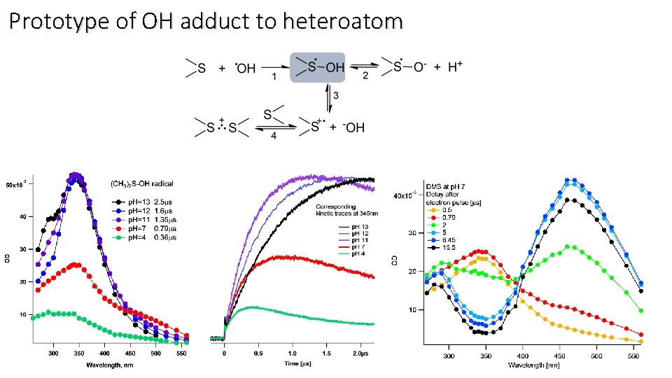 Prototype of OH adduct to heteroatom 