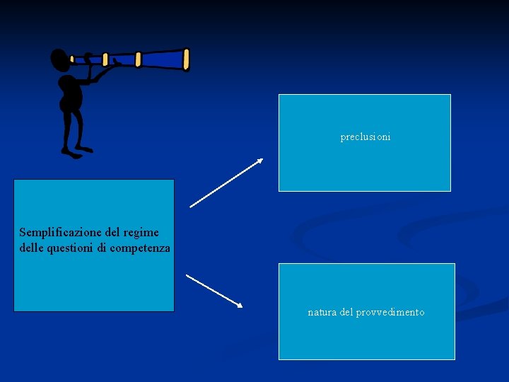 preclusioni Semplificazione del regime delle questioni di competenza natura del provvedimento 