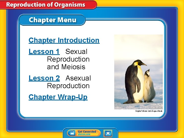 Chapter Introduction Lesson 1 Sexual Reproduction and Meiosis Lesson 2 Asexual Reproduction Chapter Wrap-Up Chapter Introduction Lesson 1 Sexual Reproduction and Meiosis Lesson 2 Asexual Reproduction Chapter Wrap-Up