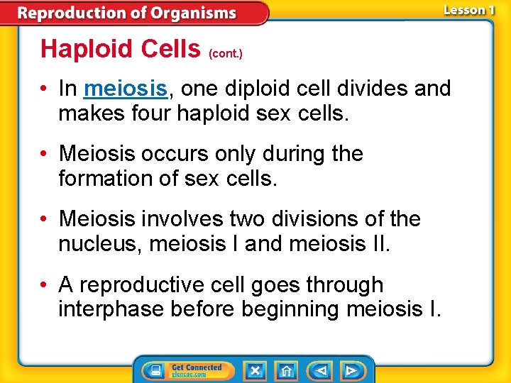 Haploid Cells (cont. ) • In meiosis, one diploid cell divides and makes four Haploid Cells (cont. ) • In meiosis, one diploid cell divides and makes four