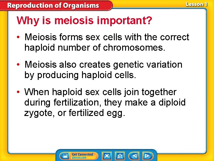 Why is meiosis important? • Meiosis forms sex cells with the correct haploid number Why is meiosis important? • Meiosis forms sex cells with the correct haploid number