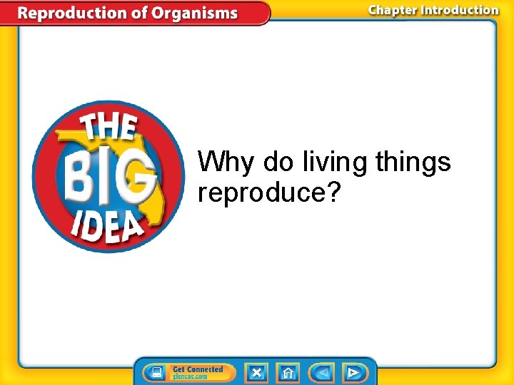 Why do living things reproduce? Why do living things reproduce?