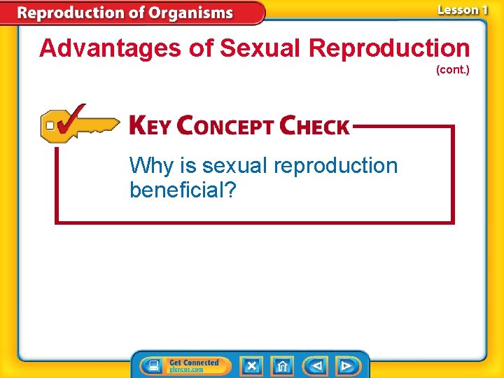 Advantages of Sexual Reproduction (cont. ) Why is sexual reproduction beneficial? Advantages of Sexual Reproduction (cont. ) Why is sexual reproduction beneficial?