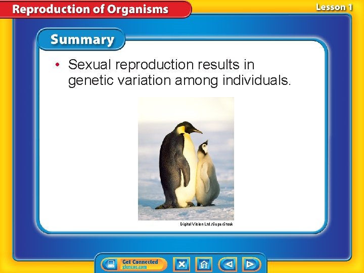 • Sexual reproduction results in genetic variation among individuals. Digital Vision Ltd. /Super. • Sexual reproduction results in genetic variation among individuals. Digital Vision Ltd. /Super.