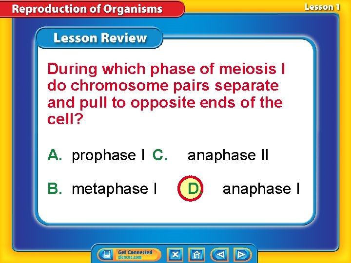 During which phase of meiosis I do chromosome pairs separate and pull to opposite During which phase of meiosis I do chromosome pairs separate and pull to opposite