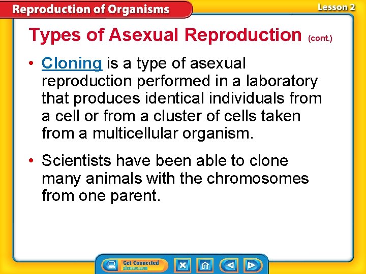 Types of Asexual Reproduction (cont. ) • Cloning is a type of asexual reproduction Types of Asexual Reproduction (cont. ) • Cloning is a type of asexual reproduction