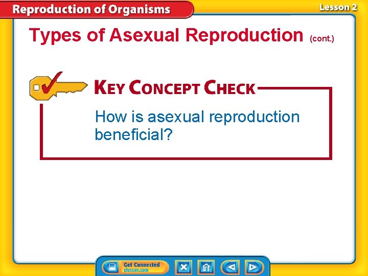 Types of Asexual Reproduction (cont. ) How is asexual reproduction beneficial? Types of Asexual Reproduction (cont. ) How is asexual reproduction beneficial?
