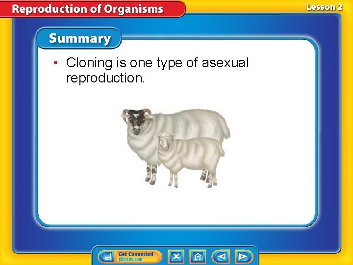 • Cloning is one type of asexual reproduction. • Cloning is one type of asexual reproduction.