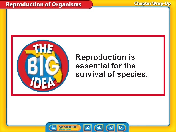 Reproduction is essential for the survival of species. Reproduction is essential for the survival of species.