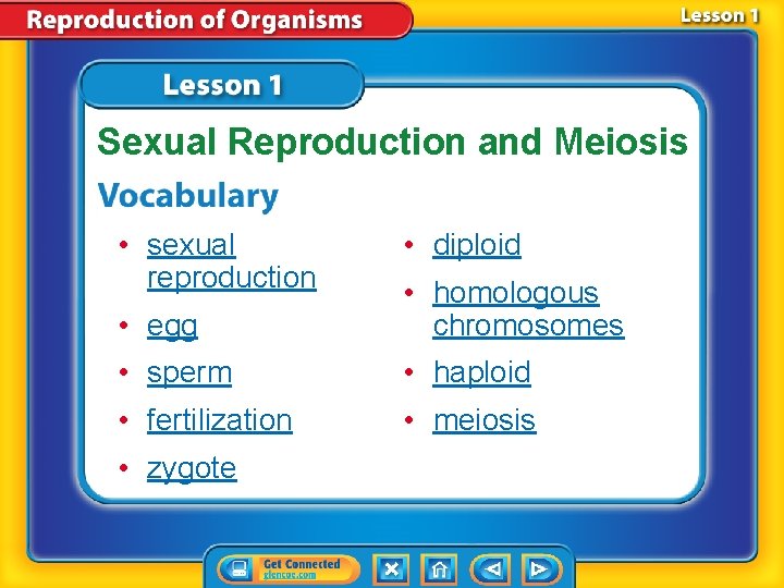 Sexual Reproduction and Meiosis • sexual reproduction • diploid • egg • homologous chromosomes Sexual Reproduction and Meiosis • sexual reproduction • diploid • egg • homologous chromosomes