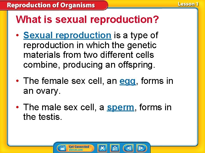 What is sexual reproduction? • Sexual reproduction is a type of reproduction in which What is sexual reproduction? • Sexual reproduction is a type of reproduction in which