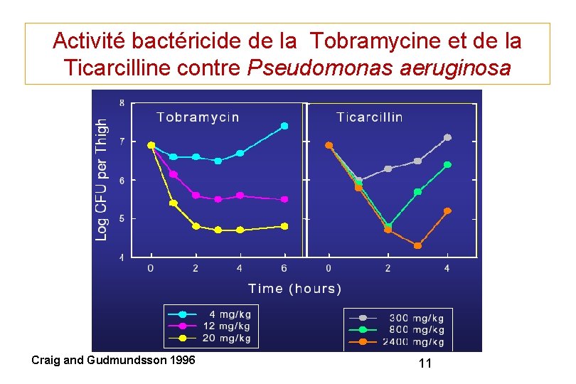 Activité bactéricide de la Tobramycine et de la Ticarcilline contre Pseudomonas aeruginosa Craig and Activité bactéricide de la Tobramycine et de la Ticarcilline contre Pseudomonas aeruginosa Craig and