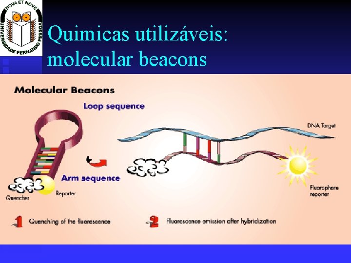 Quimicas utilizáveis: molecular beacons 