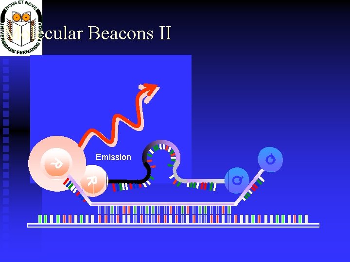 Molecular Beacons II Q Q R R Q R Excitation Emission 