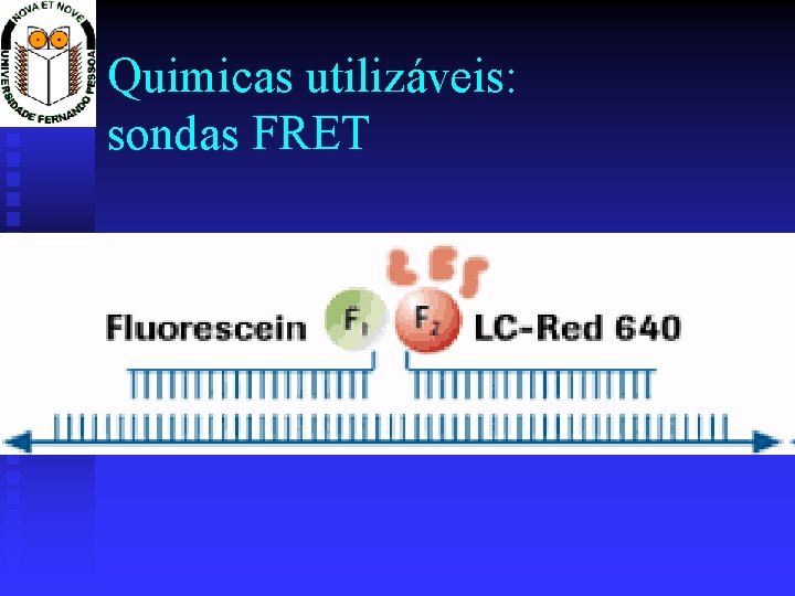 Quimicas utilizáveis: sondas FRET 