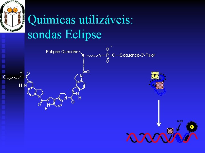 Quimicas utilizáveis: sondas Eclipse F Q MGB F Q 