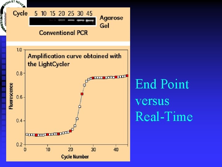 End Point versus Real-Time 
