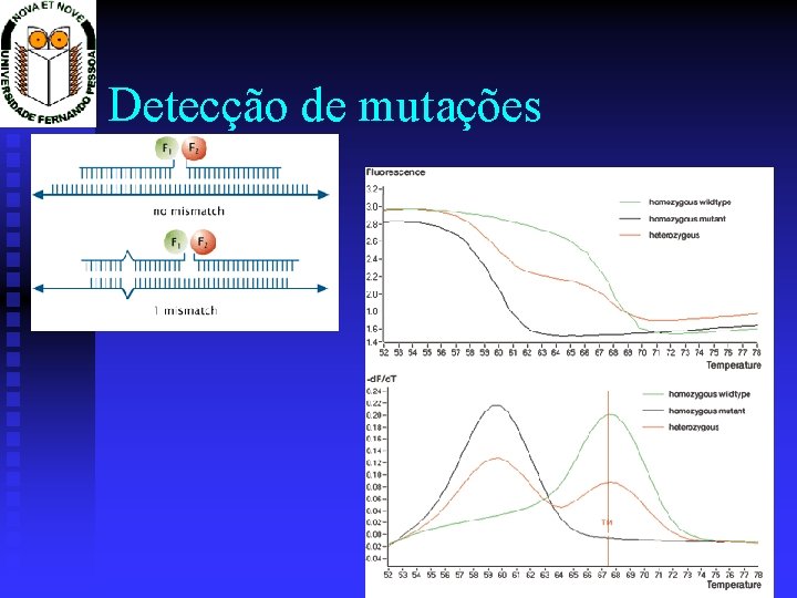 Detecção de mutações 