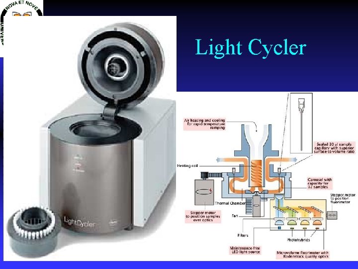 Light Cycler 