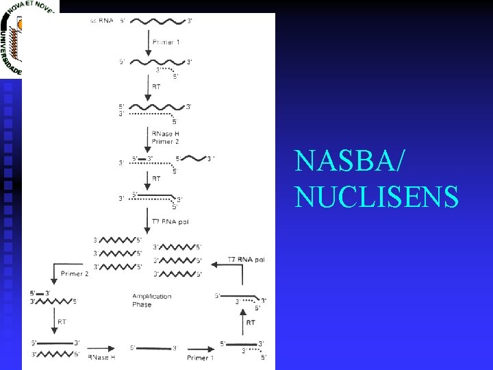 NASBA/ NUCLISENS 