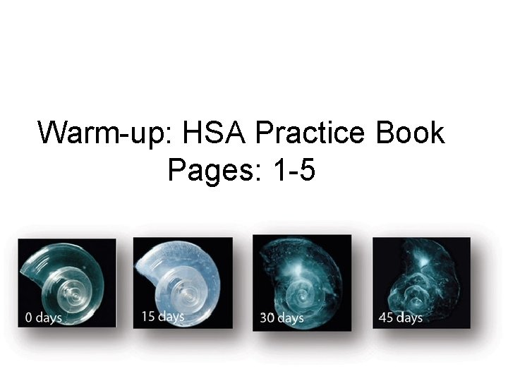 Warm-up: HSA Practice Book Pages: 1 -5 
