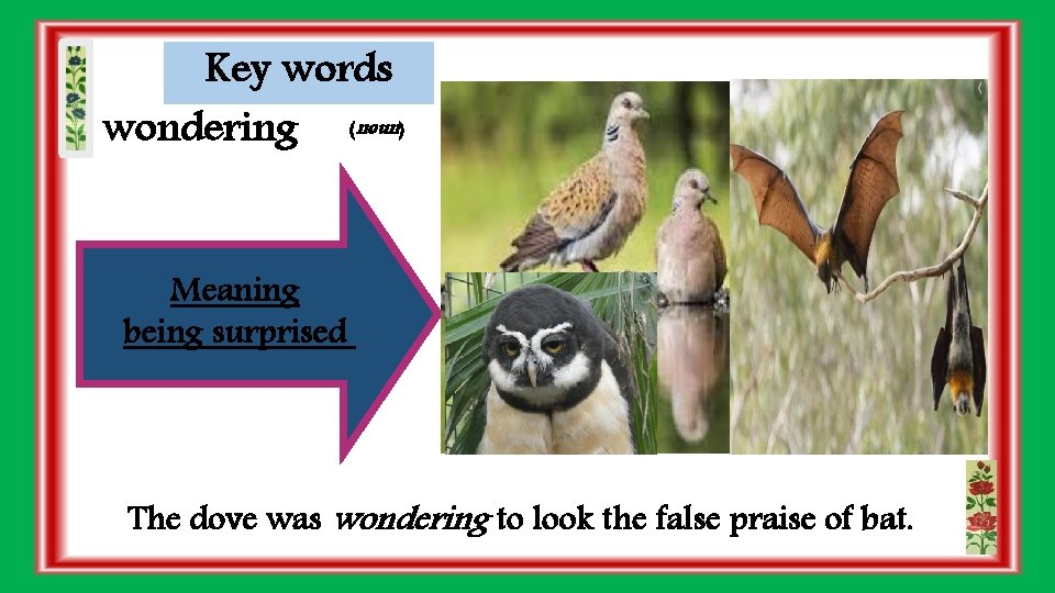 Key words wondering (noun) Meaning being surprised The dove was wondering to look the