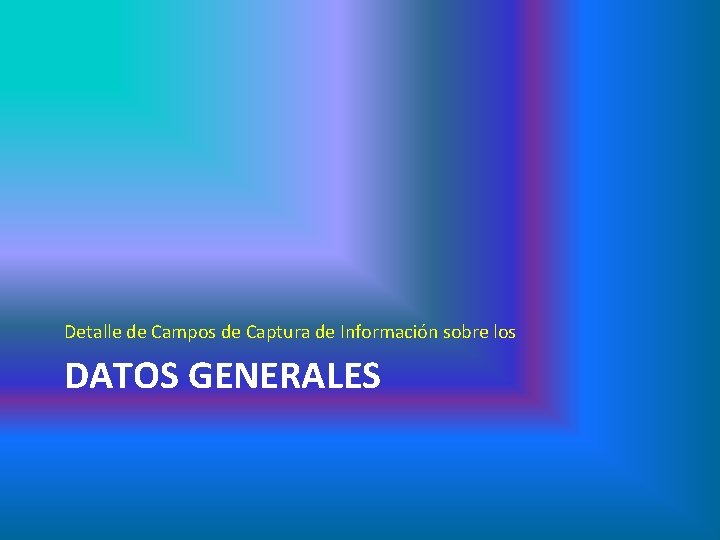 Detalle de Campos de Captura de Información sobre los DATOS GENERALES 